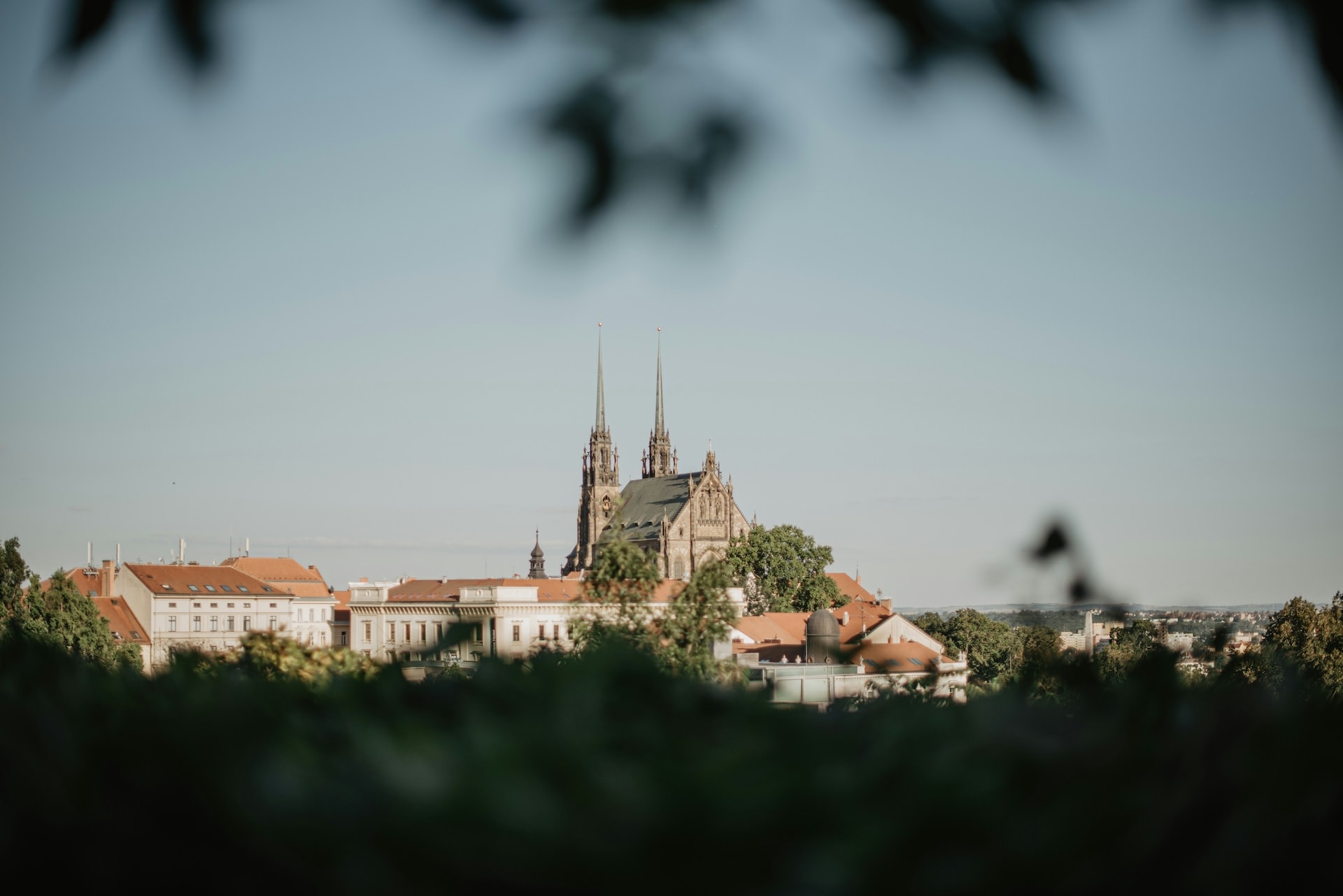 D&O – pojištění odpovědnosti členů orgánů společnosti